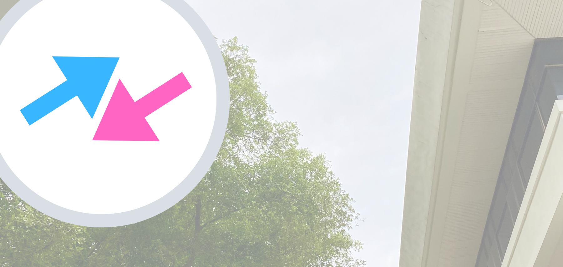 แบนเนอร์ โอน 1